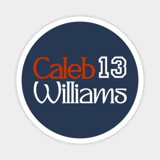 WILLIAMS BEAR Magnet